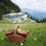 Peaceful Nature Jolly Mozirje
