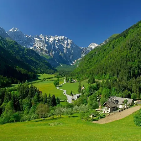 Peaceful Nature Jolly Casa vacanze