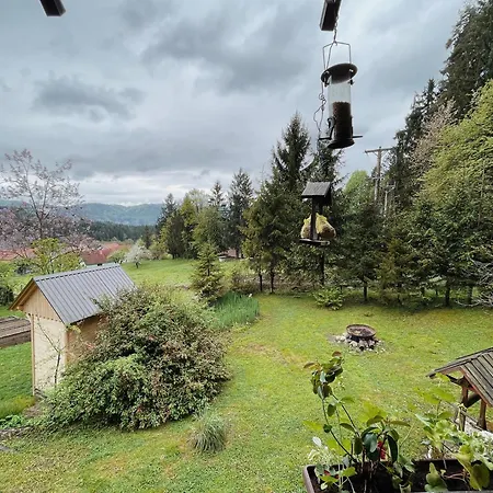 Peaceful Nature Jolly *